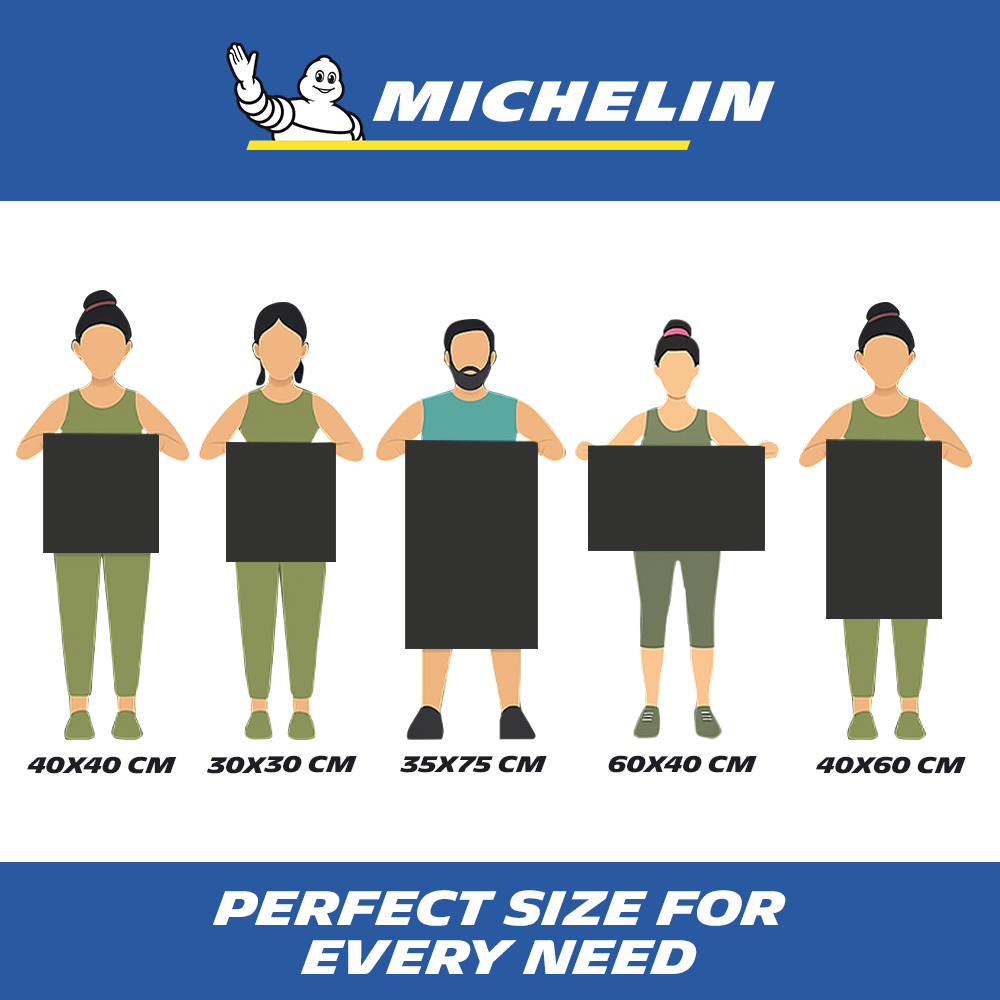 MICHELIN 500 GSM Pack of 2 (30x30 cm) Microfiber Cleaning Cloth for Car Double Sided, Super Absorbent, Lint-Free & Scratch-Free, Durable Ultra-Plush Cleaning Towel for Car, Bike & Glass